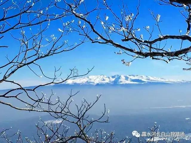 战国无双：真田丸